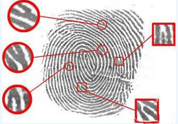 详解生物特征加密技术之指纹识别技术