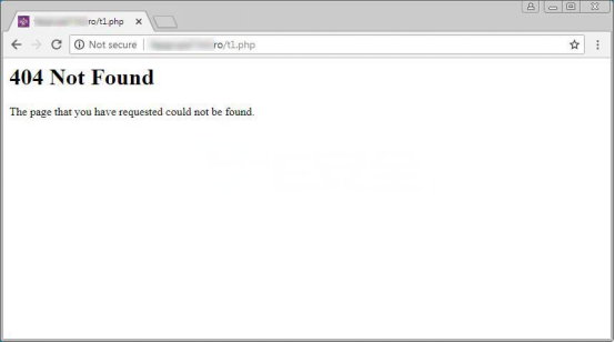 404Not Found 页面，可能是黑客伪装的 WebShell 登录界面
