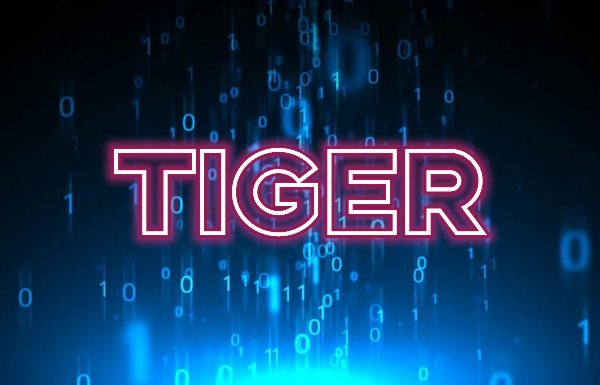 Tiger算法