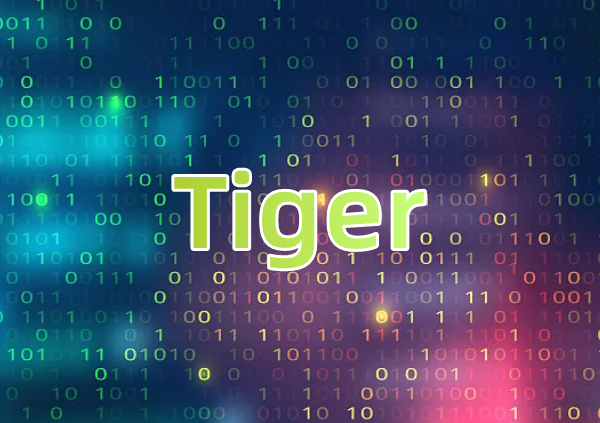 Tiger算法
